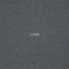 AW Westminster 79 фото 1 | FLOORDEALER